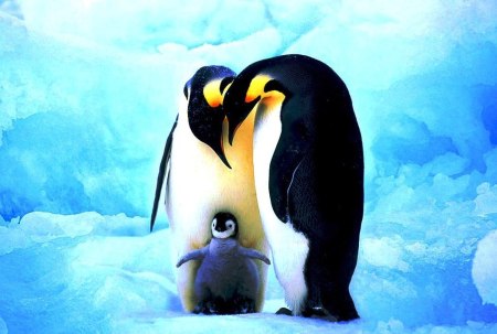 CarmaDeMaeParaFilha-01