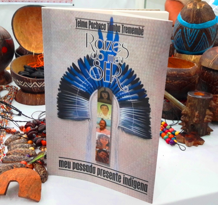 Telma Pacheco livro 01b